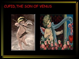 CUPID,THE SON OF VENUS 