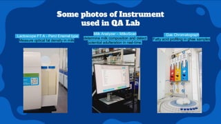 Madhusudan_Dairy Industry Industrial internship ppt | PDF