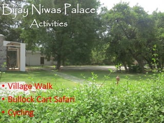 Bijay Niwas Palace
Activities
• Village Walk
• Bullock Cart Safari
• Cycling
 