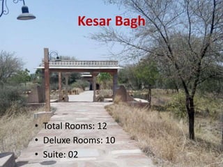 Kesar Bagh
• Total Rooms: 12
• Deluxe Rooms: 10
• Suite: 02
 