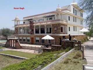 Kesar Bagh
 