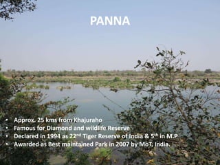 PANNA
• Approx. 25 kms from Khajuraho
• Famous for Diamond and wildlife Reserve
• Declared in 1994 as 22nd Tiger Reserve of India & 5th in M.P
• Awarded as Best maintained Park in 2007 by MoT, India.
 