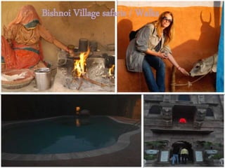 Bishnoi Village safaris / Walks
 