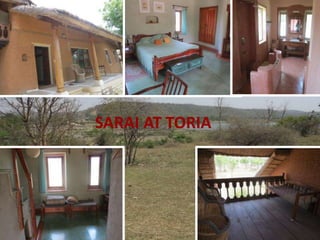 SARAI AT TORIA
 