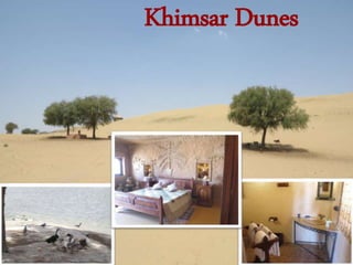 Khimsar Dunes
 