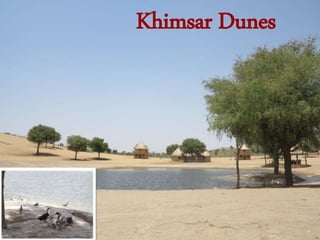 Khimsar Dunes
 