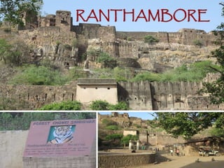RANTHAMBORE
 