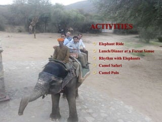 ACTIVITIES
 Elephant Ride
 Lunch/Dinner at a Forest Venue
 Rhythm with Elephants
 Camel Safari
 Camel Polo
 