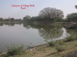 Glimpses of Village Walk
Barli
 