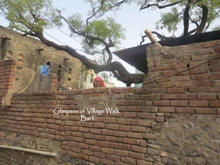 Glimpses of Village Walk
Barli
 