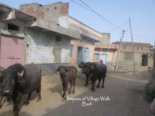 Glimpses of Village Walk
Barli
 