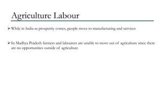 Agriculture Labour
 While in India as prosperity comes, people move to manufacturing and services
 In Madhya Pradesh farmers and labourers are unable to move out of agriculture since there
are no opportunities outside of agriculture

 