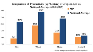 3000

Comparison of Productivity (kg/hectare) of crops in MP vs.
National Average (2008-2009)
MP
2907

National Average

2414

2500

2178

1895

2000

1369

1500
1000

1056

927

1143

500
Rice

Wheat

Maize

Mustard

Source: MP Agriculture Economic Survey Report 2012

 