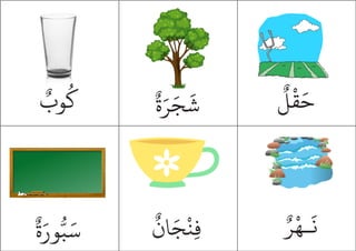 ٌ‫ة‬َ‫ر‬َ‫ج‬
َ
‫ش‬
ٌ
‫وب‬
ُ
‫ك‬
ٌ
‫ل‬
ْ
‫ق‬َ‫ح‬
ٌ‫ة‬َ‫ور‬ُّ‫ب‬َ‫س‬
ٌ‫ر‬ْ‫ـه‬
َ
‫ن‬
ٌ
‫ان‬َ‫ج‬
ْ
‫ِن‬‫ف‬
 