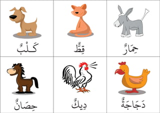 ٌ
‫ب‬
ْ
‫ـل‬
َ
‫ك‬ ٌّ
‫ِط‬‫ق‬ ٌ‫ار‬َ ِ
‫ح‬
ٌ
‫ان‬ َ
‫ص‬ِ‫ح‬
ٌ
‫ِيك‬‫د‬
ٌ
‫ة‬َ‫اج‬َ‫ج‬
َ
‫د‬
 