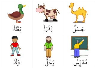 ٌ‫ة‬َ‫ر‬
َ
‫ق‬َ‫ب‬
ٌ
‫ة‬ َّ
‫ط‬َ‫ب‬
ٌ
‫س‬ِ
ّ‫ر‬َ‫د‬ُ‫م‬
ٌ
‫ل‬ُ‫ج‬َ‫ر‬
ٌ َ
‫ل‬َ‫و‬
ٌ
‫ل‬َ‫ـم‬َ‫ج‬
 