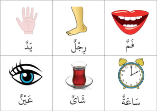 ٌ‫د‬َ‫ي‬
ٌ
‫ل‬
ْ
‫ج‬ِ‫ر‬
ٌ
‫ة‬
َ
‫اع‬َ‫س‬
ٌ‫اي‬
َ
‫ش‬
ٌ ْ
‫ي‬
َ
‫ع‬
ٌ‫م‬
َ
‫ف‬
 