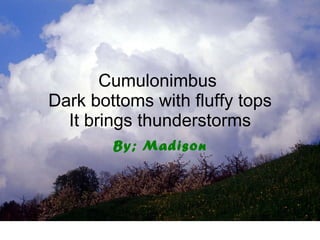 Cumulonimbus  Dark bottoms with fluffy tops It brings thunderstorms By; Madison 
