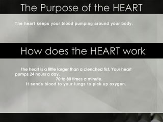 The Purpose of the HEART How does the HEART work The heart keeps your blood pumping around your body.   The heart is a little larger than a clenched fist. Your heart pumps 24 hours a day,  70 to 80 times a minute.  It sends blood to your lungs to pick up oxygen. 