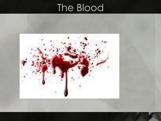The Blood 