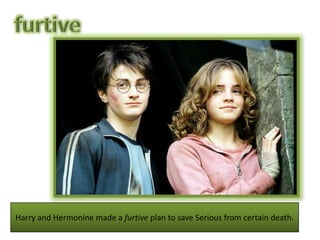 furtiveHarry and Hermonine made a furtive plan to save Serious from certain death.