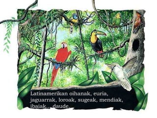 Latinamerikan oihanak, euria,
jaguarrak, loroak, sugeak, mendiak,
ibaiak... daude.
 