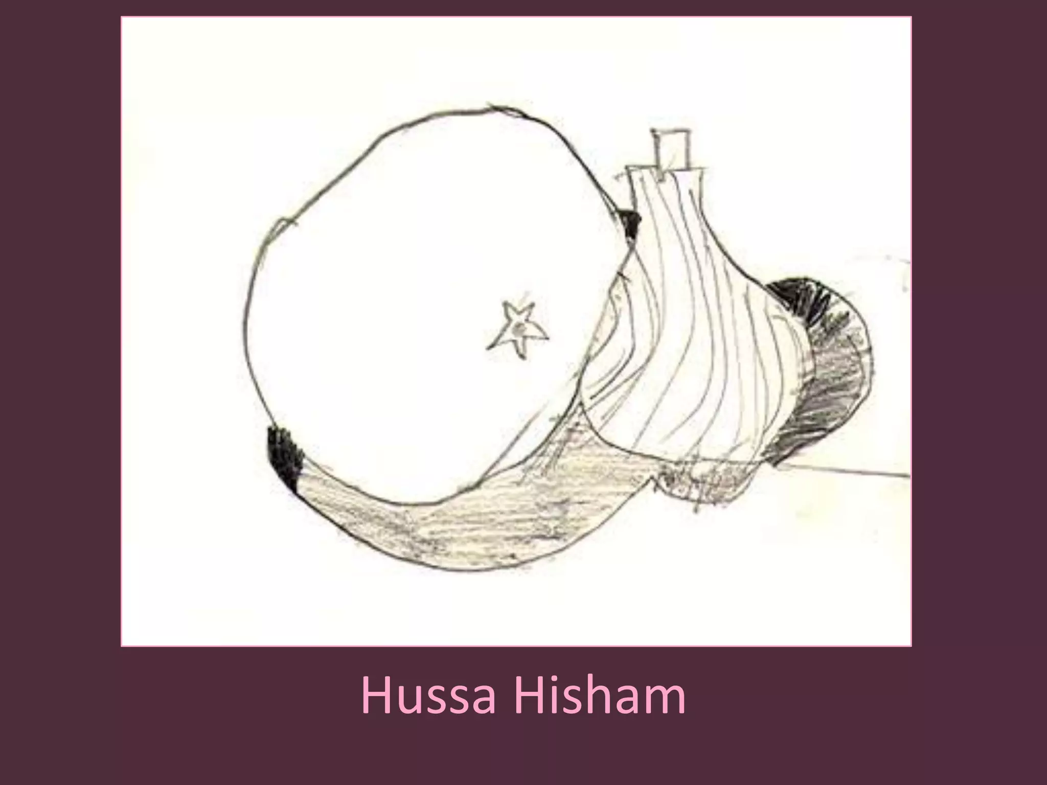HussaHisham