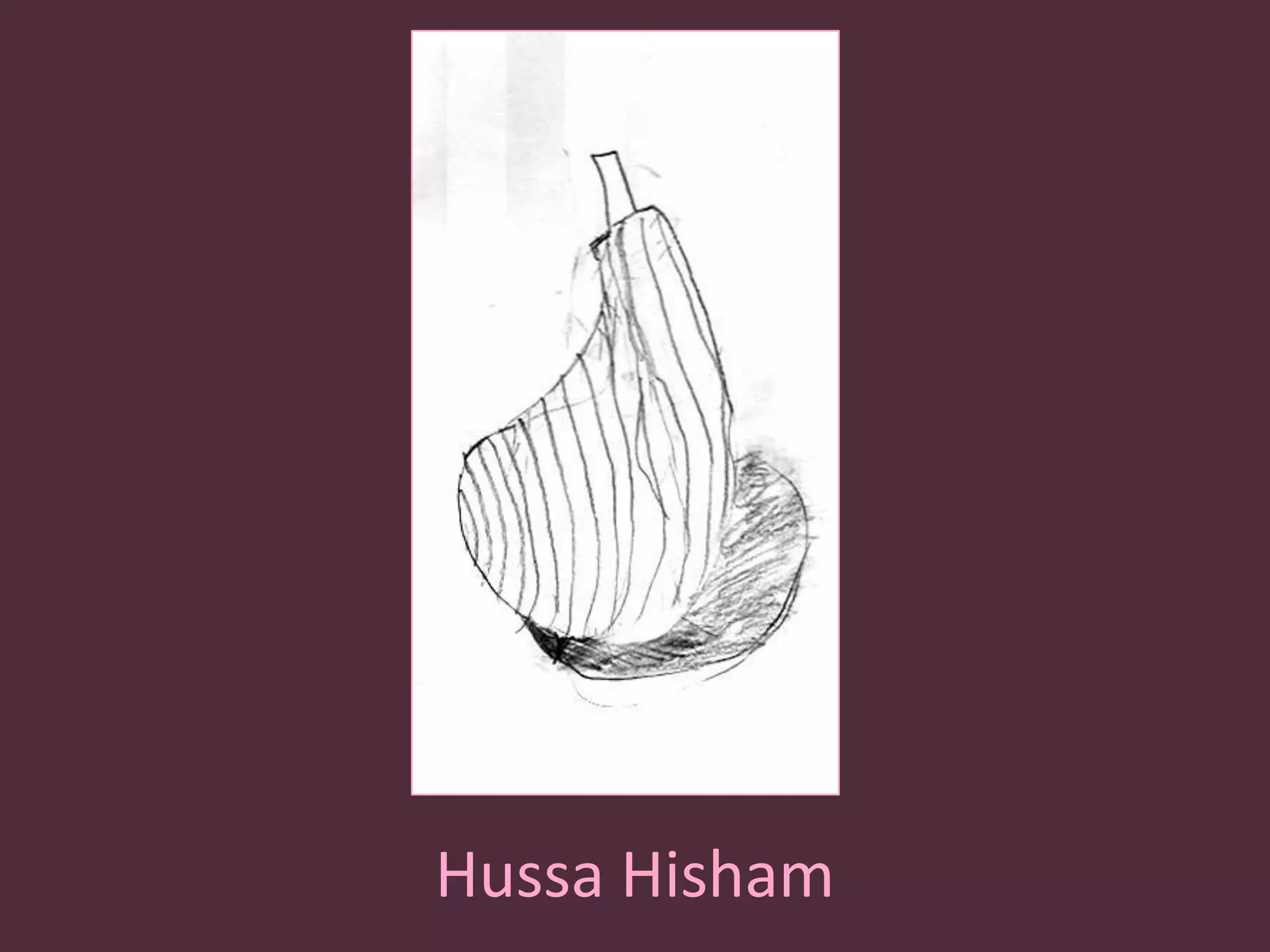 HussaHisham