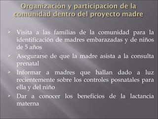 Visita a las familias de la comunidad para la identificación de madres embarazadas y de niños de 5 años Asegurarse de que la madre asista a la consulta prenatal Informar a madres que hallan dado a luz recientemente sobre los controles posnatales para ella y del niño Dar a conocer los beneficios de la lactancia materna 