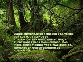 LUEGO, COMENZAMOS A CRECER Y LA VEMOS CON LOS OJOS LLENOS DE ADMIRACIÓN, PENSANDO QUE NO HAY, NI PUEDE HABER NADA MÁS HERMOSO, MÁS INTELIGENTE Y SOBRE TODO, MÁS QUERIDO. MOMENTO EN QUE ES SINÓNIMO DE ADMIRACIÓN. 