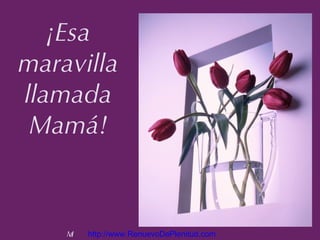 ¡Esa
maravilla
llamada
 Mamá!



    M
    a   http://www.RenuevoDePlenitud.com
 