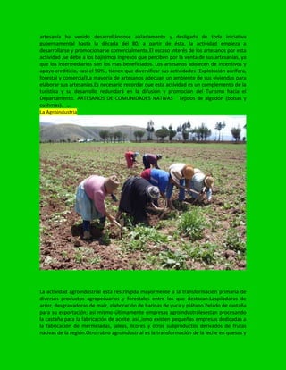 artesanía ha venido desarrollándose aisladamente y desligada de toda iniciativa
gubernamental hasta la década del 80, a partir de ésta, la actividad empieza a
desarrollarse y promocionarse comercialmente.El escaso interés de los artesanos por esta
actividad ,se debe a los bajísimos ingresos que perciben por la venta de sus artesanías, ya
que los intermediarios son los mas beneficiados. Los artesanos adolecen de incentivos y
apoyo crediticio, casi el 90% , tienen que diversificar sus actividades (Explotación aurífera,
forestal y comercial)La mayoría de artesanos adecuan un ambiente de sus viviendas para
elaborar sus artesanías.Es necesario recordar que esta actividad es un complemento de la
turística y su desarrollo redundará en la difusión y promoción del Turismo hacia el
Departamento. ARTESANOS DE COMUNIDADES NATIVAS Tejidos de algodón (bolsas y
cushmas). …
La Agroindustria
La actividad agroindustrial esta restringida mayormente a la transformación primaria de
diversos productos agropecuarios y forestales entre los que destacan:Laspiladoras de
arroz, desgranadoras de maíz, elaboración de harinas de yuca y plátano.Pelado de castaña
para su exportación; así mismo últimamente empresas agroindustralesestan procesando
la castaña para la fabricación de aceite, así ,ismo existen pequeñas empresas dedicadas a
la fabricación de mermeladas, jaleas, licores y otros subproductos derivados de frutas
nativas de la región.Otro rubro agroindustrial es la transformación de la leche en quesos y
 