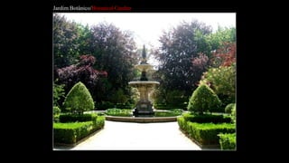 Jardim Botânico/Botanical Garden