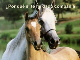 Madre naturaleza