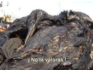 Madre naturaleza