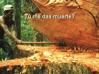 Madre naturaleza