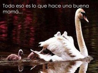 Todo eso es lo que hace una buena
mamá...
 