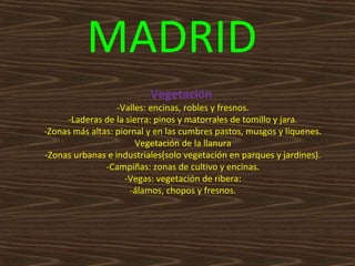 MADRID
Vegetación

-Valles: encinas, robles y fresnos.
-Laderas de la sierra: pinos y matorrales de tomillo y jara.
-Zonas más altas: piornal y en las cumbres pastos, musgos y líquenes.
Vegetación de la llanura
-Zonas urbanas e industriales(solo vegetación en parques y jardines).
-Campiñas: zonas de cultivo y encinas.
-Vegas: vegetación de ribera:
-álamos, chopos y fresnos.

 