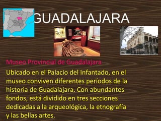 GUADALAJARA
Museo Provincial de Guadalajara
Ubicado en el Palacio del Infantado, en el
museo conviven diferentes períodos de la
historia de Guadalajara. Con abundantes
fondos, está dividido en tres secciones
dedicadas a la arqueológica, la etnografía
y las bellas artes.

 