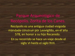 Parque Arqueológico de
Recópolis. Zorita de los Canes.
Recópolis es una antigua ciudad visigoda
mandada construir por Leovigildo, en el año
578, en honor a su hijo Recaredo.
En su recorrido se hace un viaje desde el
siglo VI hasta el siglo XVII.

 
