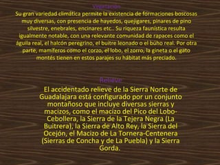 Vegetación
Su gran variedad climática permite la existencia de formaciones boscosas
muy diversas, con presencia de hayedos, quejigares, pinares de pino
silvestre, enebrales, encinares etc.. Su riqueza faunística resulta
igualmente notable, con una relevante comunidad de rapaces como el
águila real, el halcón peregrino, el buitre leonado o el búho real. Por otra
parte, mamíferos como el corzo, el lobo, el zorro, la gineta o el gato
montés tienen en estos parajes su hábitat más preciado.

Relieve
El accidentado relieve de la Sierra Norte de
Guadalajara está configurado por un conjunto
montañoso que incluye diversas sierras y
macizos, como el macizo del Pico del LoboCebollera, la Sierra de la Tejera Negra (La
Buitrera), la Sierra de Alto Rey, la Sierra del
Ocejón, el Macizo de La Tornera-Centenera
(Sierras de Concha y de La Puebla) y la Sierra
Gorda.

 