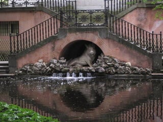 En la parte inferior del edificio,acoge un
   pozo de 15 m de profundidad del que
       mana el agua que cae a la ría
a través de un elemento ornamental muy
      representativo de este edificio,
         la talla en piedra de un
                 jabalí.
 