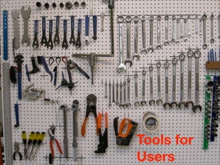 Innovation in the Wild, Wild Web