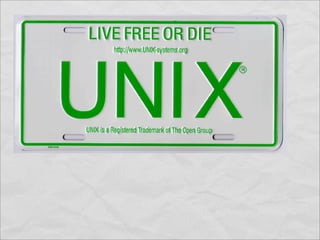 Innovation in the Wild, Wild Web