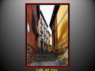 Calle del Toro
 