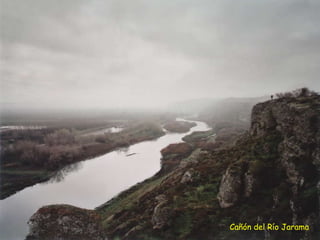 Cañón del Río Jarama 