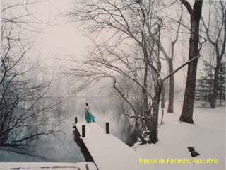 Bosque de Finlandia. Rascafría 