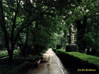 Jardín Botánico 
