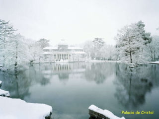 Palacio de Cristal 