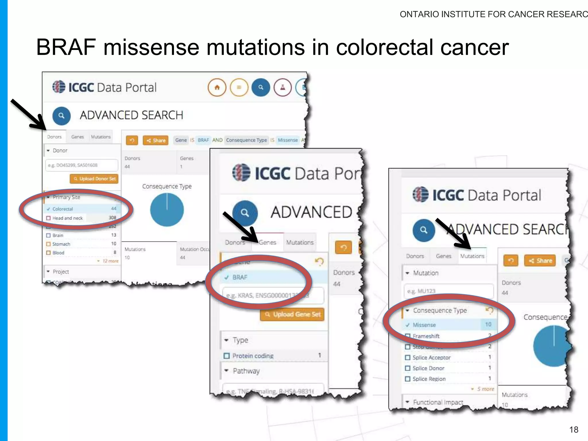 ONTARIO INSTITUTE FOR CANCER RESEARC
Data
Submission
Validation
ValidationValidation
(dictionary)
Validation
(across
fields)
Validation
(across
fields)
Validation
(across
fields)
indexing
Happy
Users
http://goo.gl/1EcyR
 